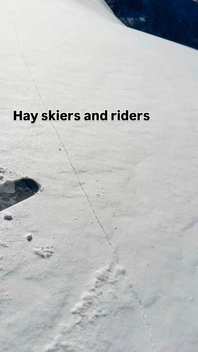 We have space available on all our AIARE courses this year. Get in touch before it’s too late.