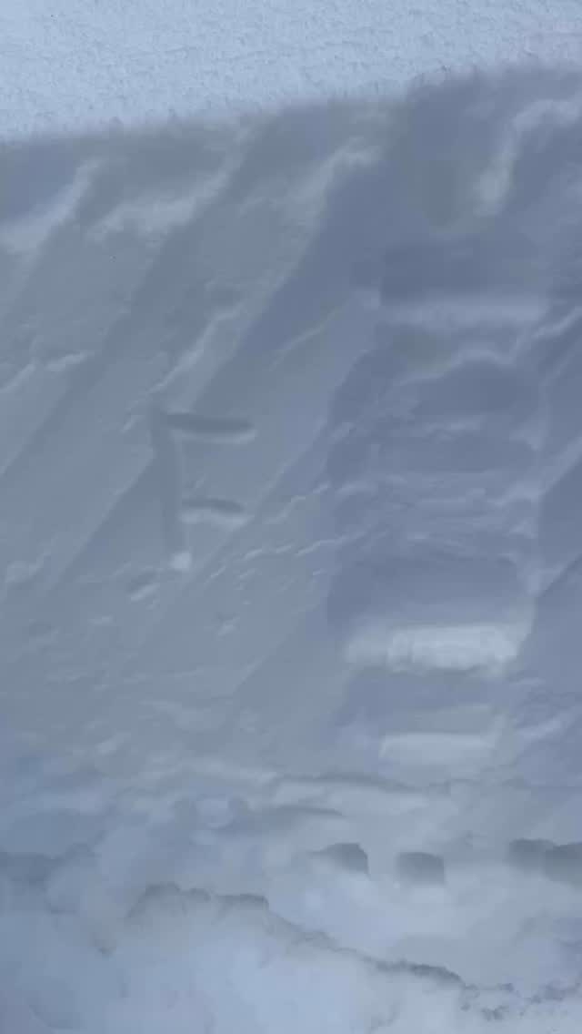 Digging holes is cool. It’s only one piece of the puzzle. Good decisions are required. Give yourself and your ski buddies a framework for those decisions. 

Space Available on our AIARE Courses.